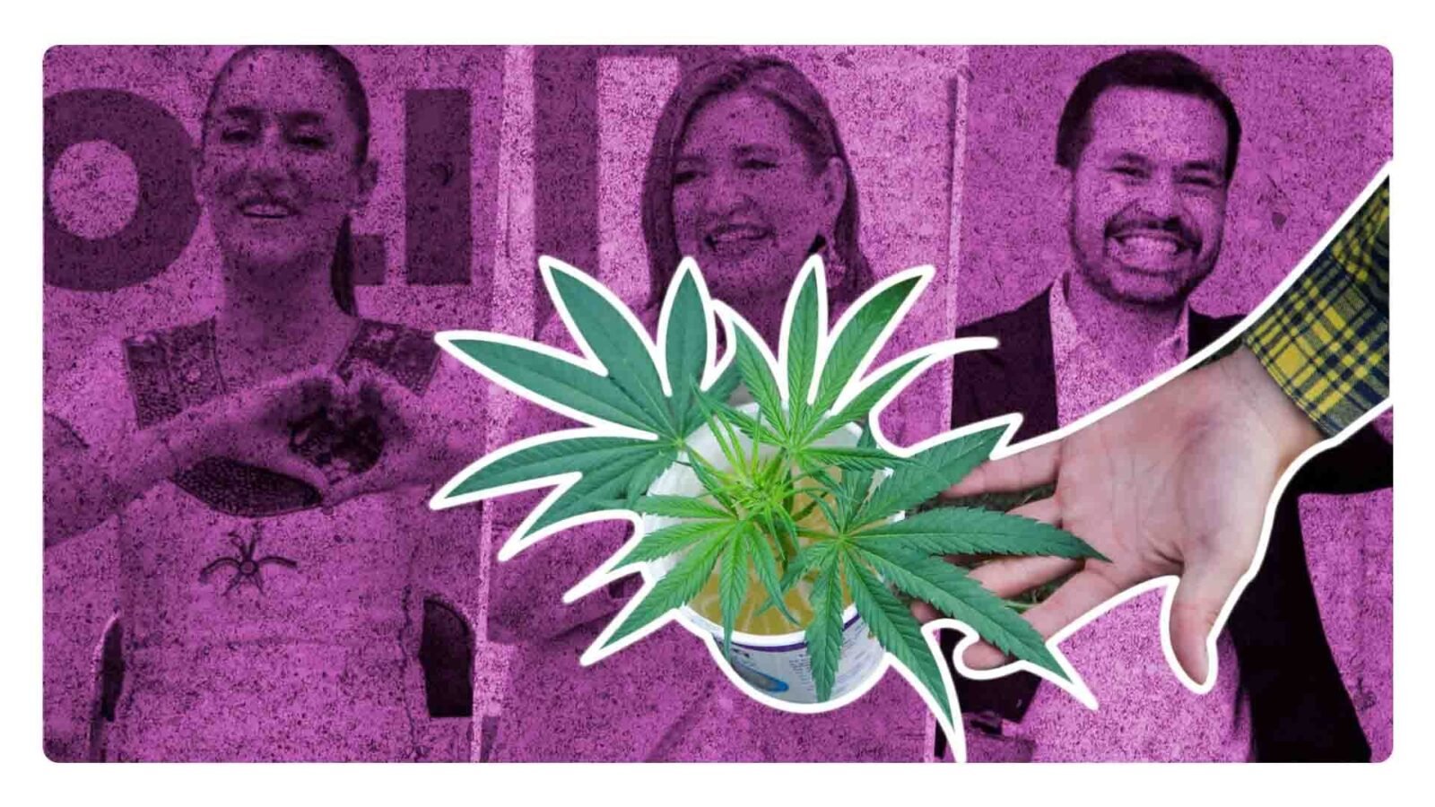 Qué dicen los candidatos presidenciales sobre la regulación de la marihuana