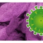 lactancia materna puede proteger a los bebé contra el covid