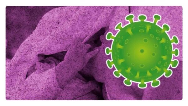 lactancia materna puede proteger a los bebé contra el covid