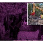 denuncian daño ambiental debido al Tren Maya