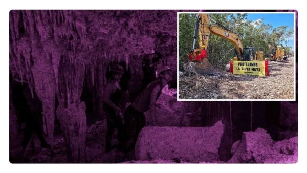 denuncian daño ambiental debido al Tren Maya