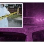 dejan cuerpos desmembrados en cazones veracruz