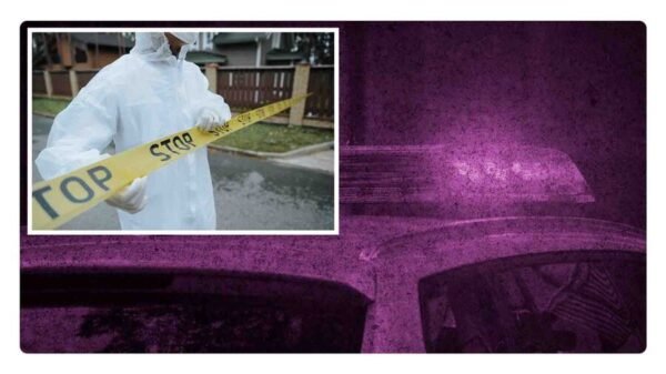 dejan cuerpos desmembrados en cazones veracruz