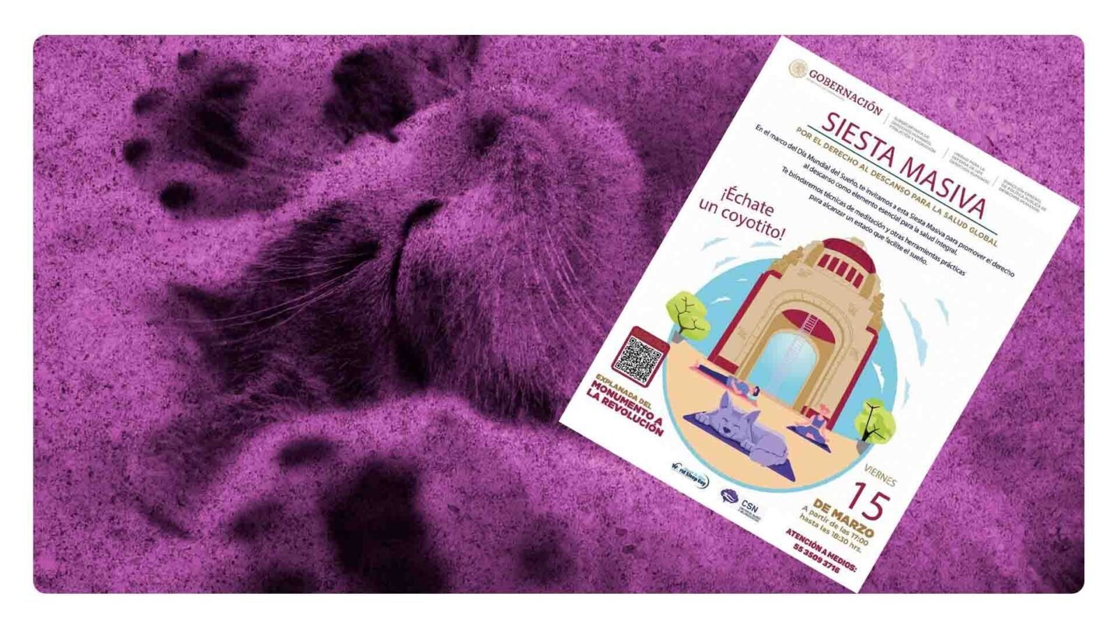 dia del sueño y la siesta colectiva: ¿donde y cuando?