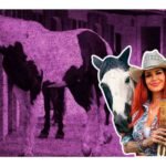 fallece elena larrea fundadora de cuacolandia