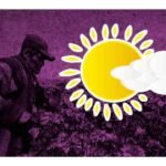 que es el equinoccio de primavera 2024