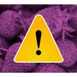 fresas con hepatitis a