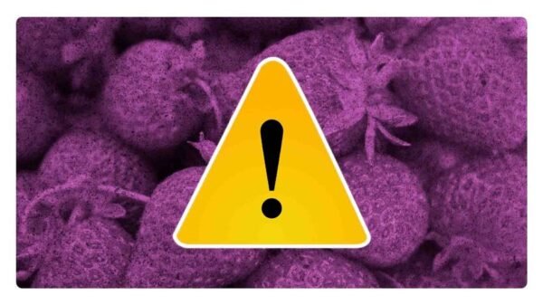 fresas con hepatitis a