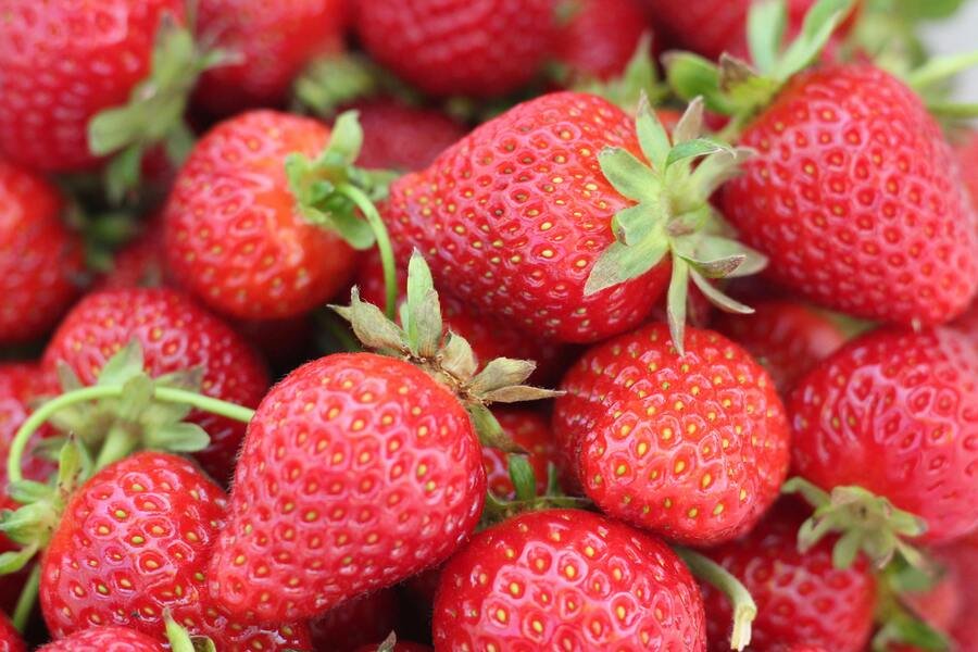 fresas con hepatitis emergencia sanitaria