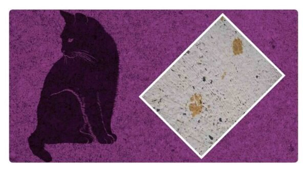 buscan a gato radiactivo en japón