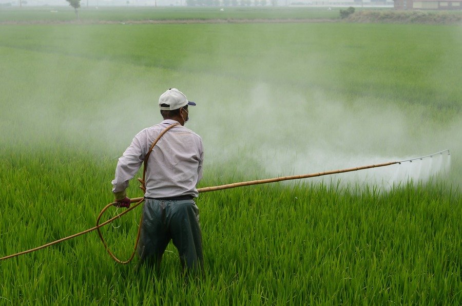Glifosato, un herbicida señalado por sus daños a la salud, animales y medio ambiente
