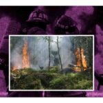 como van los incendios de veracruz hoy 27 de marzo