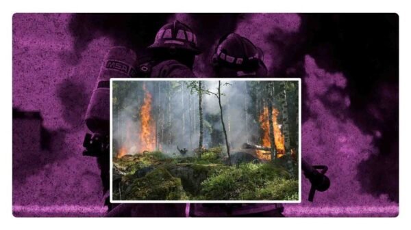 como van los incendios de veracruz hoy 27 de marzo