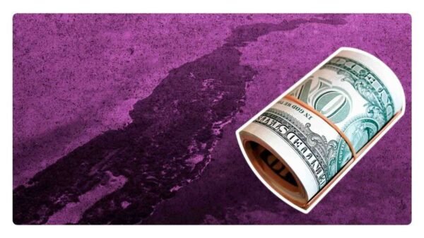 venden la última isla virgen de la rivera maya