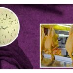 ¿Por qué no debes lavar el pollo crudo?