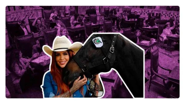 ley elena para todos los animales en México