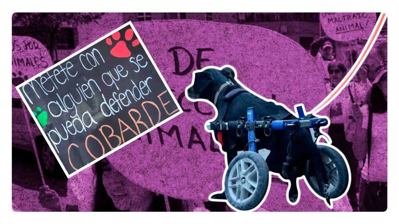 Marcha por los animales