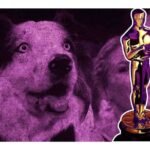 quién es el perro messi de los premios oscar