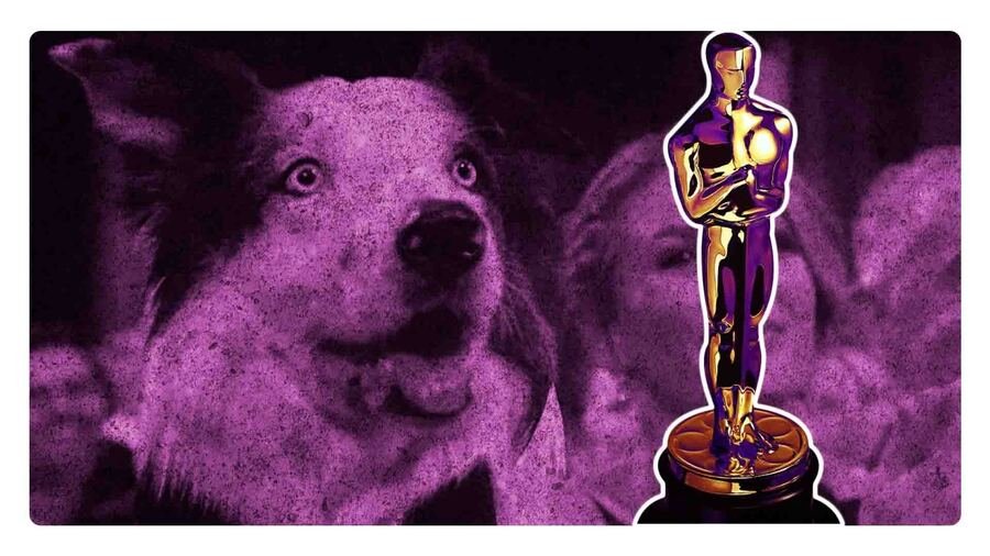quién es el perro messi de los premios oscar