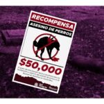 ofrecen 50mil pesos de recompensa po informacion del asesino de perritos en el bosque de nativitas en Xochimilco