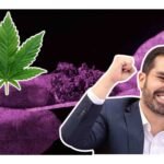 maynes a favor de la regularización de la marihuana