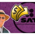 cuanto debe ricardo salinas al sat