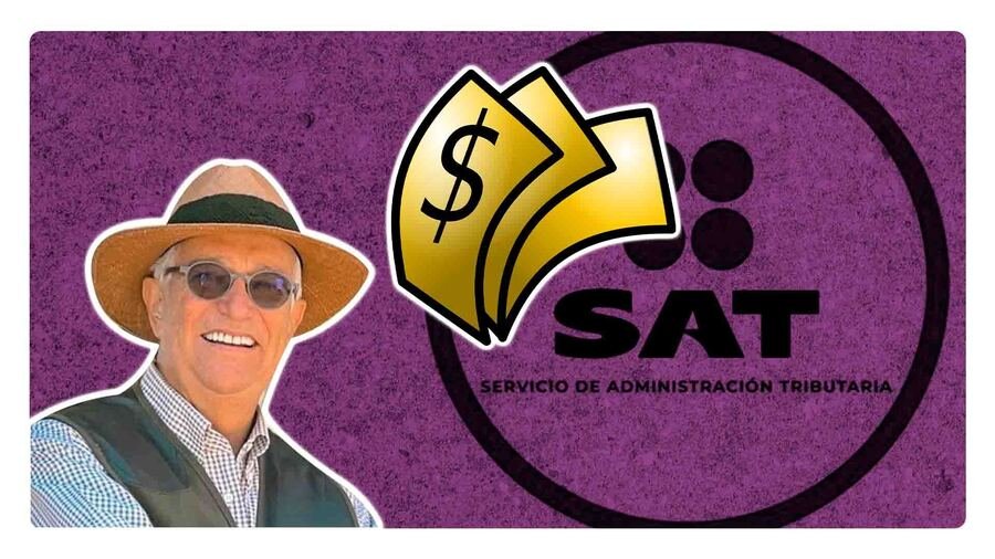cuanto debe ricardo salinas al sat