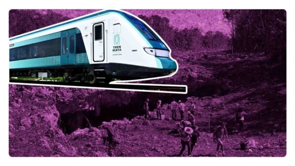 continuan las construcciones del tramo 5 del tren maya pese a la orden del juez de suspender las actividades definitivamente