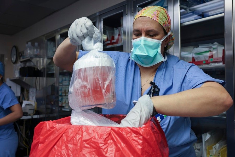 Trasplante de riñón de cerdo genéticamente modificado a una persona viva