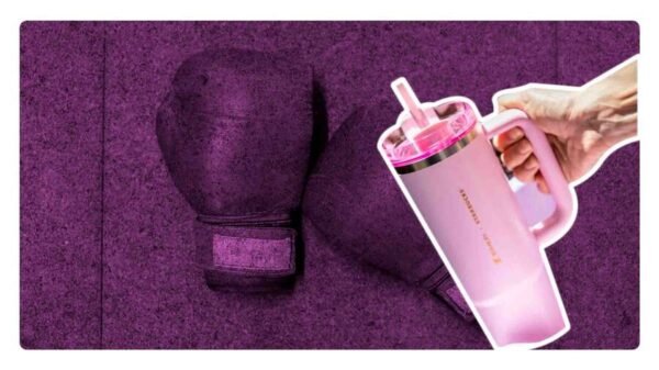 vaso starbucks stanley pelea