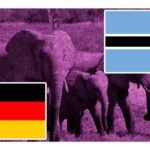 botsuana quiere mandar 20 mil elefantes a alemania