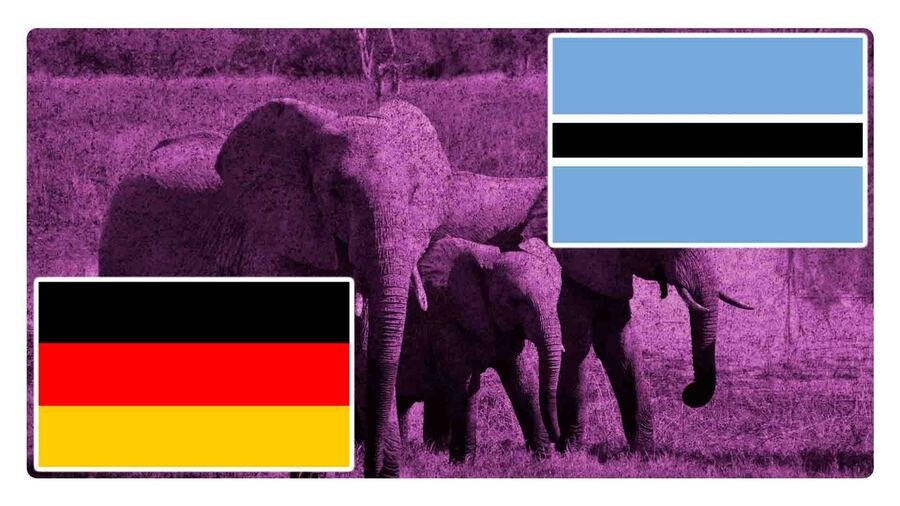 botsuana quiere mandar 20 mil elefantes a alemania