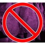 cierran pollerias en tlaxcala por casos de guillain barre