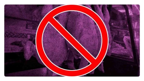 cierran pollerias en tlaxcala por casos de guillain barre