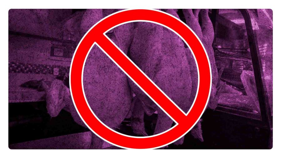 cierran pollerias en tlaxcala por casos de guillain barre