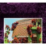 ¿Dónde y cuando será el festival de las flores en CDMX?