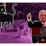 declaran activos fijos a los gatos de palacio nacional