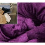 ¿Es ilegal multar a los indigentes que duermen en la calle?