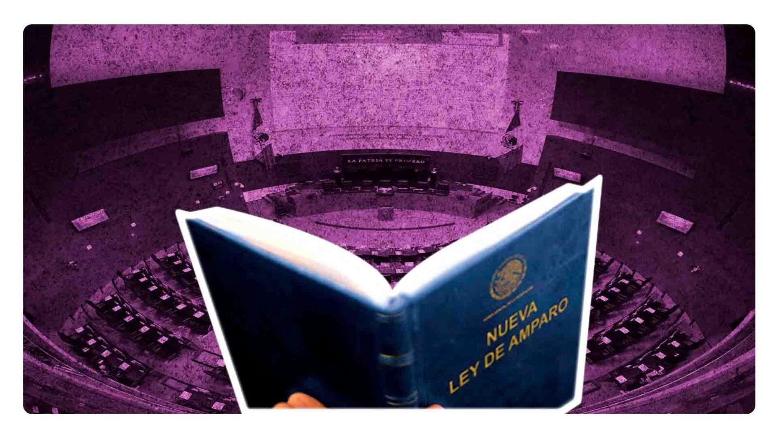 ¿De qué se trata la ley de amparo aprobada en el senado?