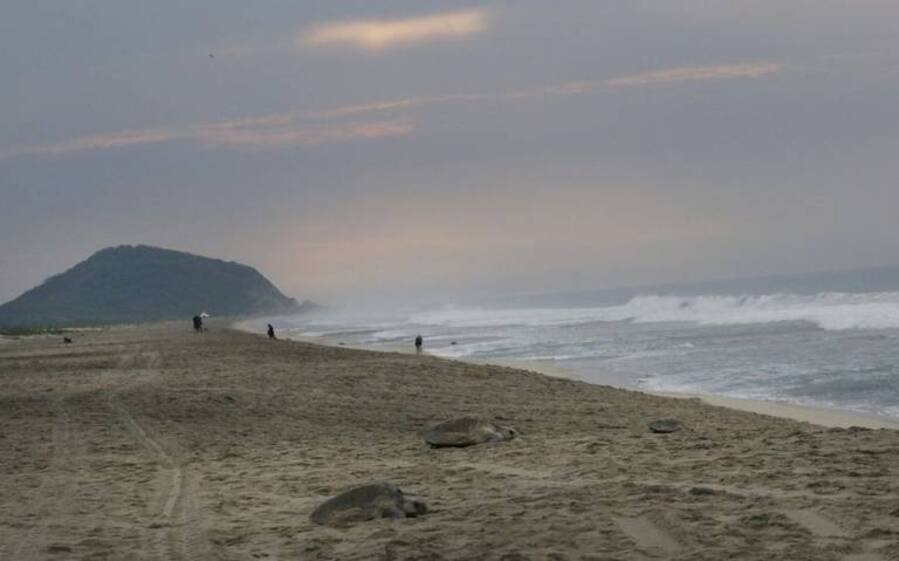 Aparecen 8 cuerpos en Playa Vicente. Investigan naufragio en Oaxaca
