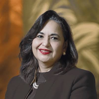 norma piña filtra investiigación contra arturo zaldivar