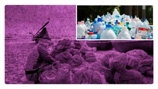 ¿Cuantos kilos de plástico se lanzan al mar en el año?