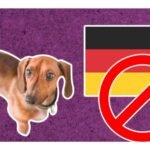 por que alemania quiere prohibir los perros salchicha