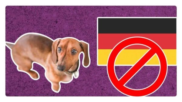 por que alemania quiere prohibir los perros salchicha