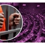 ¿que es la ley de amnistía?