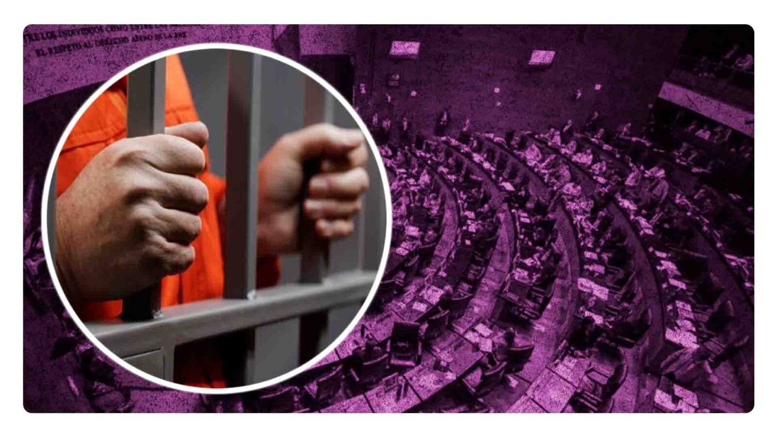 ¿que es la ley de amnistía?