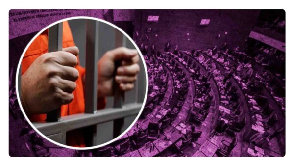 ¿que es la ley de amnistía?