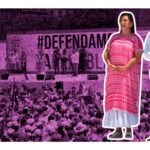 Así le fue a la "Marea Rosa" este 19 de mayo; reportan saldo blanco pese a agresiones