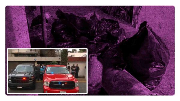 Aseguran domicilio en Naucalpan en donde sacrificaban animales