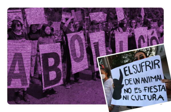 Jueza suspende de manera provisional las corridas de Toros en la CDMX